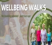 Wellbeing Walk - Hurston Place Event Image